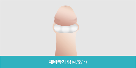 해바라기링