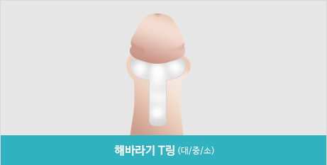 해바라기 T형 실리콘 링